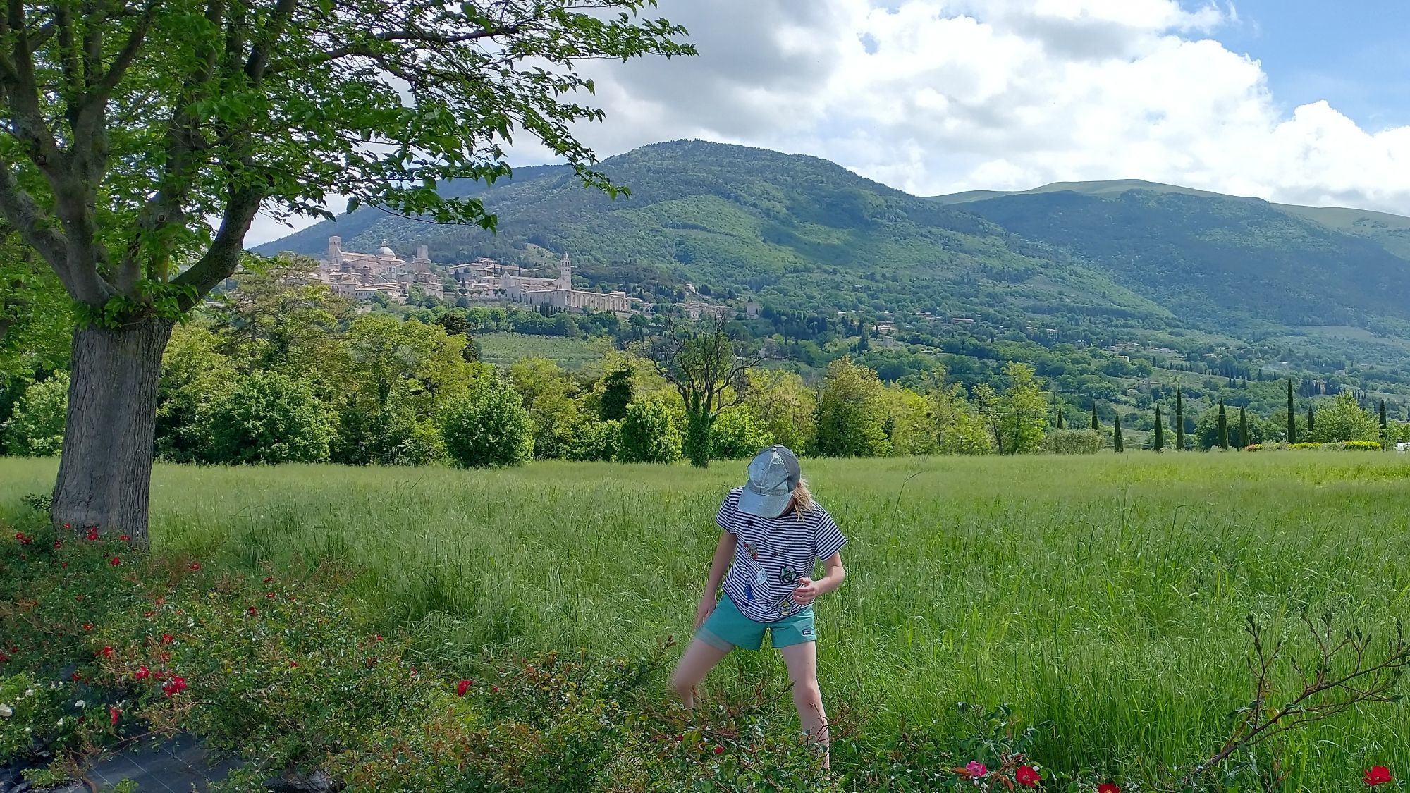Sì, Sì, Assisi! – Magrilless